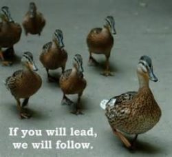 Leader.follow2-e1518322053140